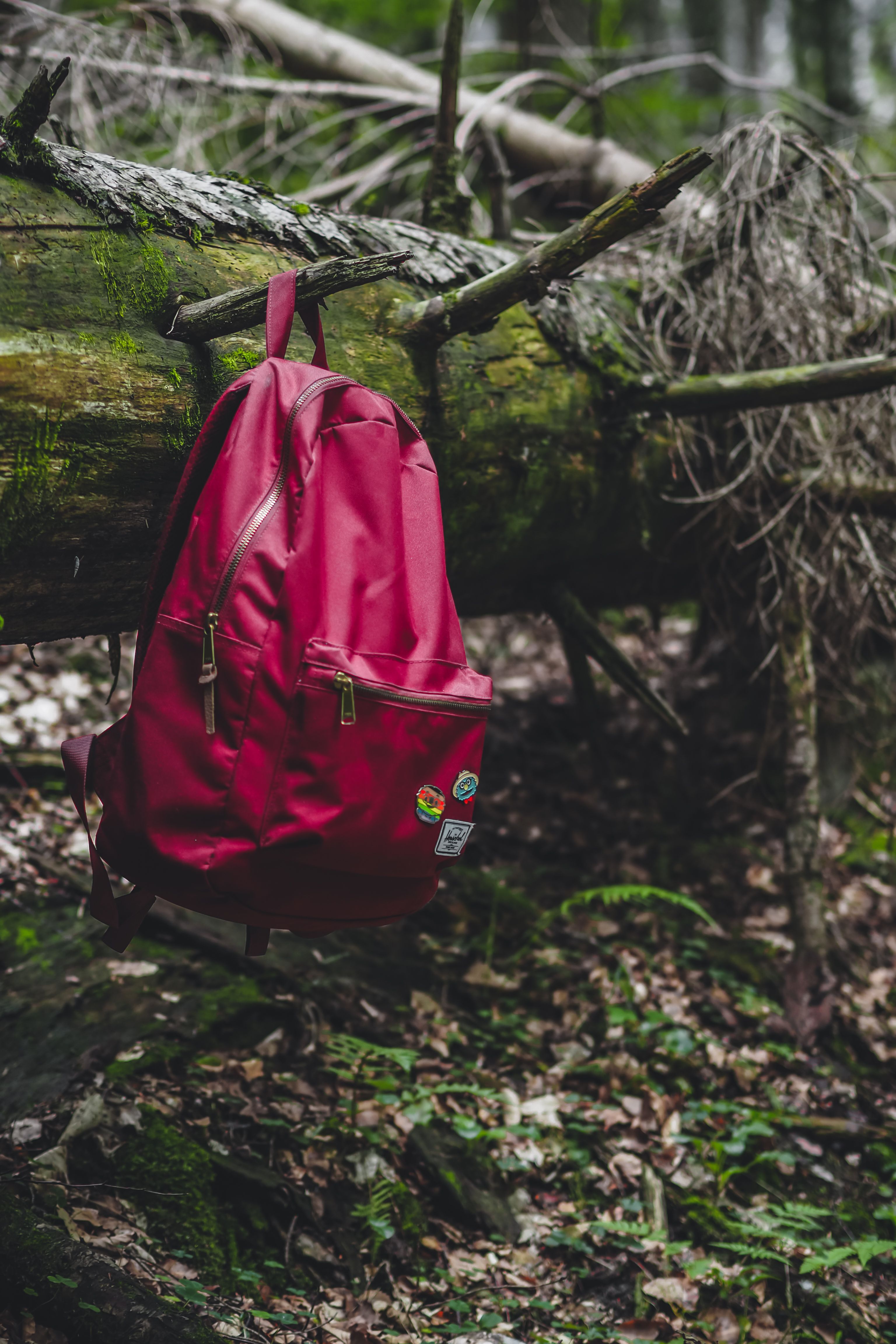 A red backpack hanging from a tree branch · Free Stock Photo