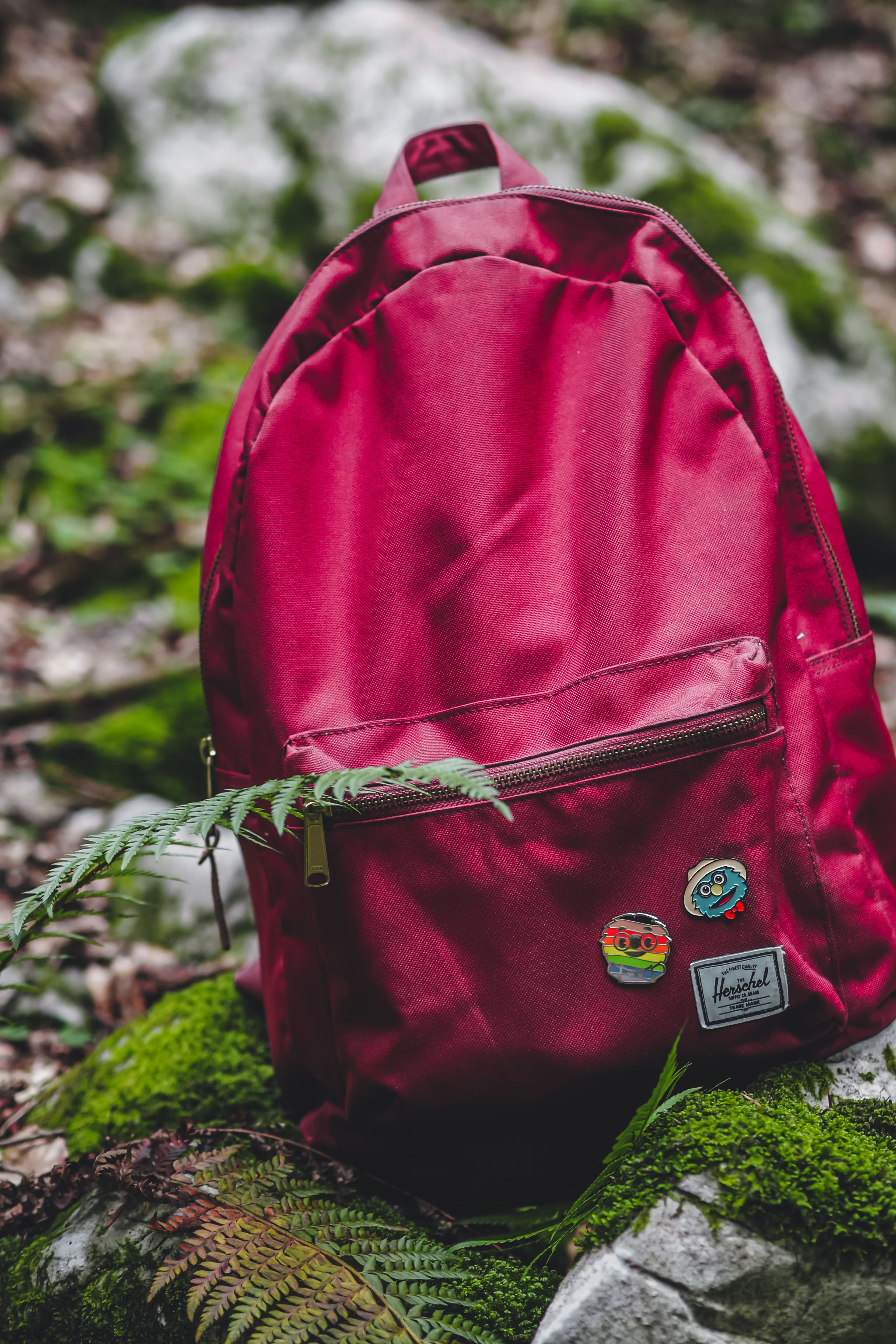 Aldergate Rolltop Backpack