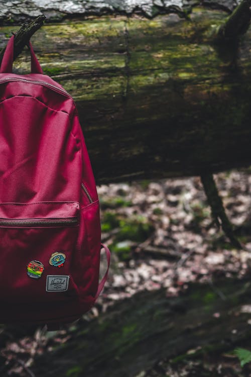 A red backpack hanging from a tree branch