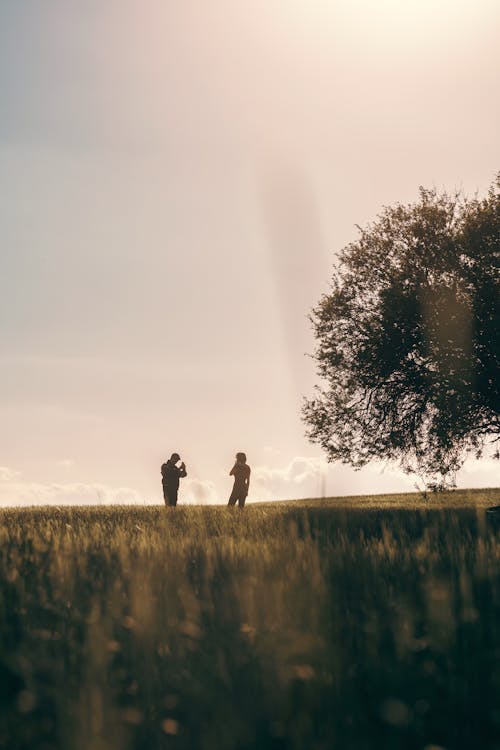 Free A couple standing in the grass under a tree Stock Photo