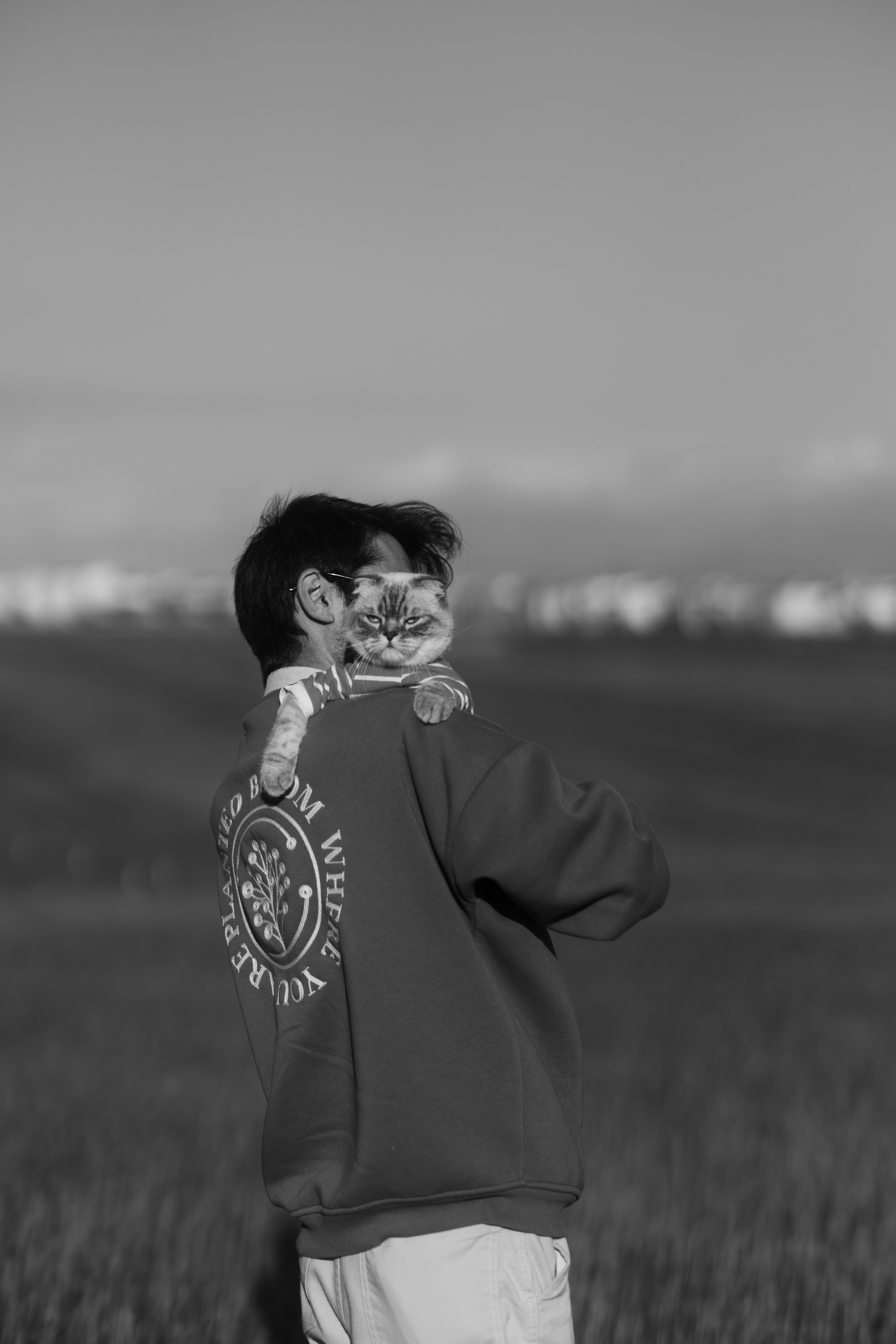 A Man with a Cat · Free Stock Photo