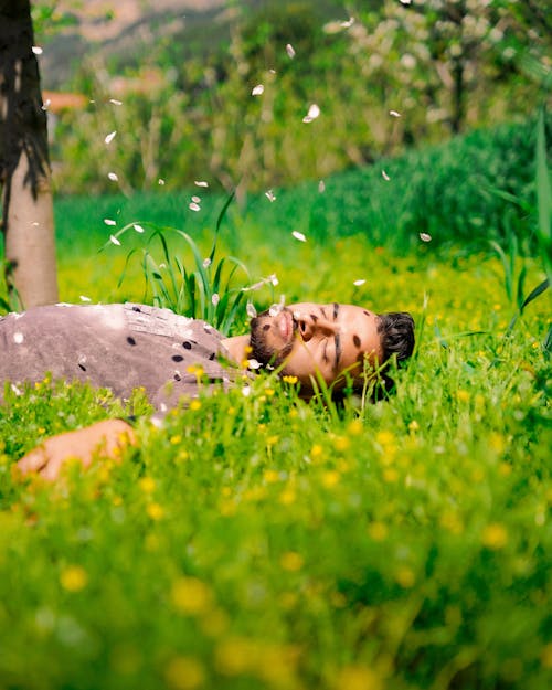 Free A man laying in a field of flowers Stock Photo