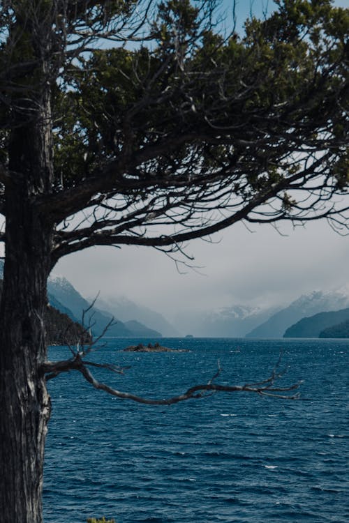 Бесплатное стоковое фото с nnature, Аргентина, барилоче