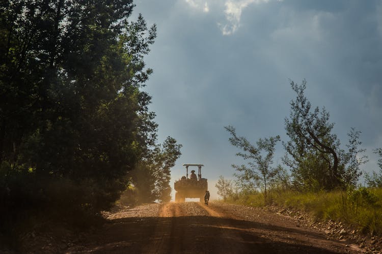 Black Tractor On Road Near Trees