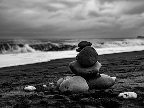 Foto d'estoc gratuïta de , blanc i negre, enfocament selectiu