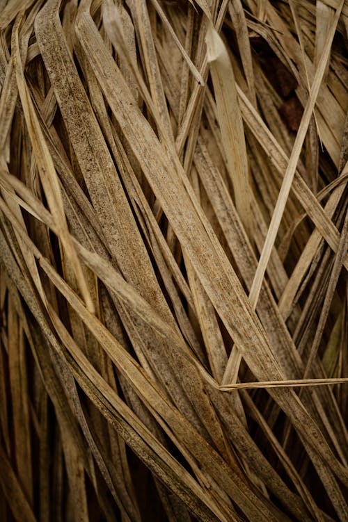 A close up of a pile of straw