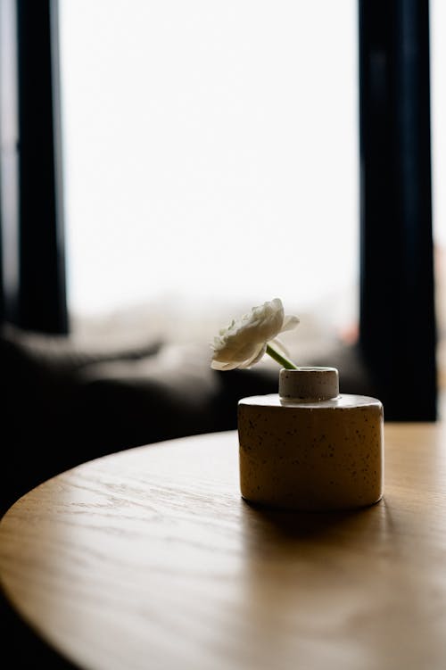 A flower in a vase on a table