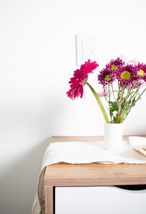 Gratis lagerfoto af blomster, dug, gerbera