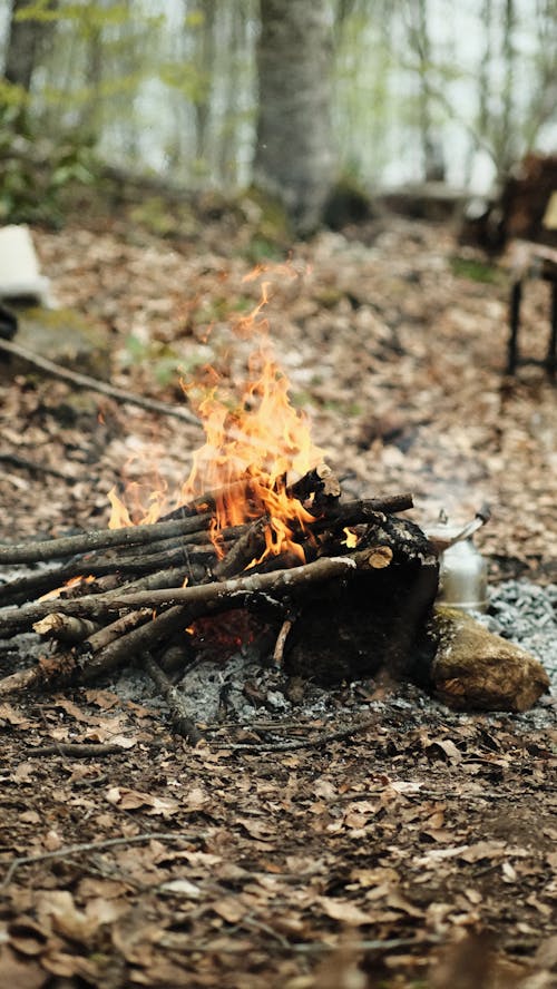 Imagine de stoc gratuită din ardere, bețe, camping