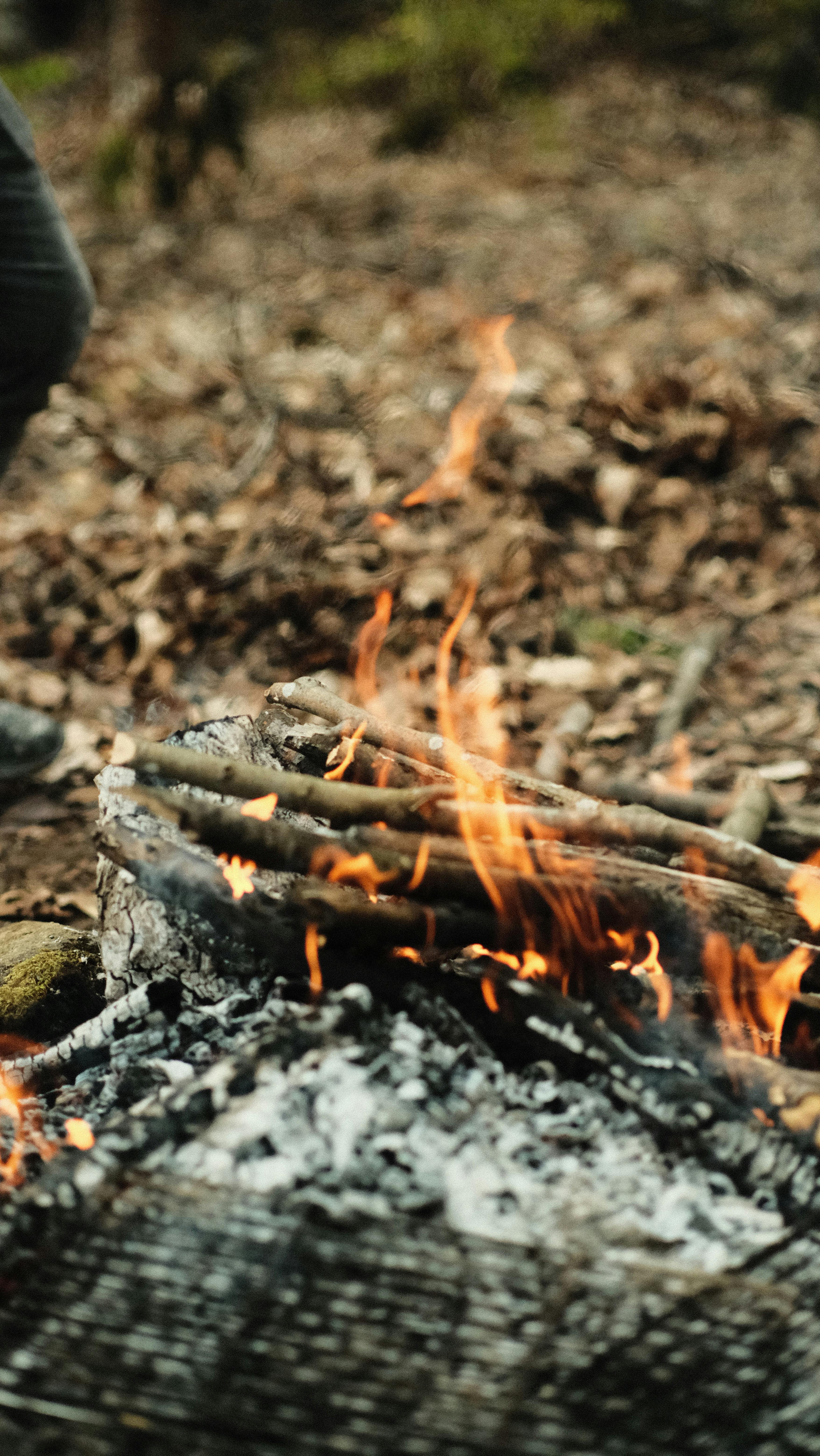 Close-up of a burning campfire in a forest setting, showcasing glowing ashes and flaming logs.