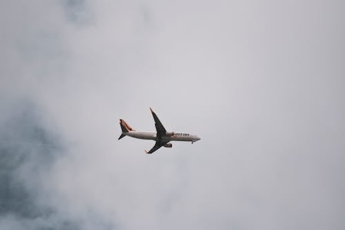 雲の下の飛行機のローアングル写真
