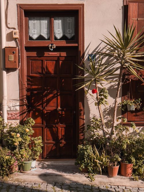 Free A cozy wooden door surrounded by lush potted plants on a sunny street. Stock Photo