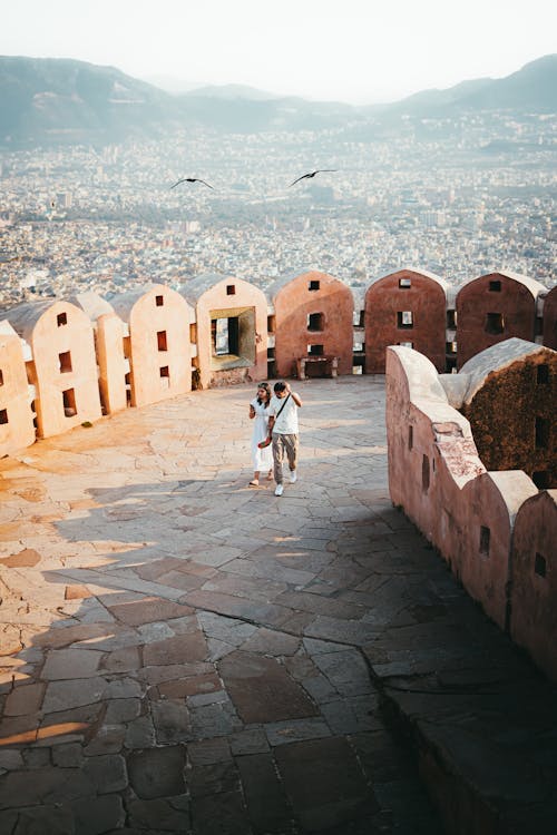 Gratis stockfoto met beesten, Indië, jaipur