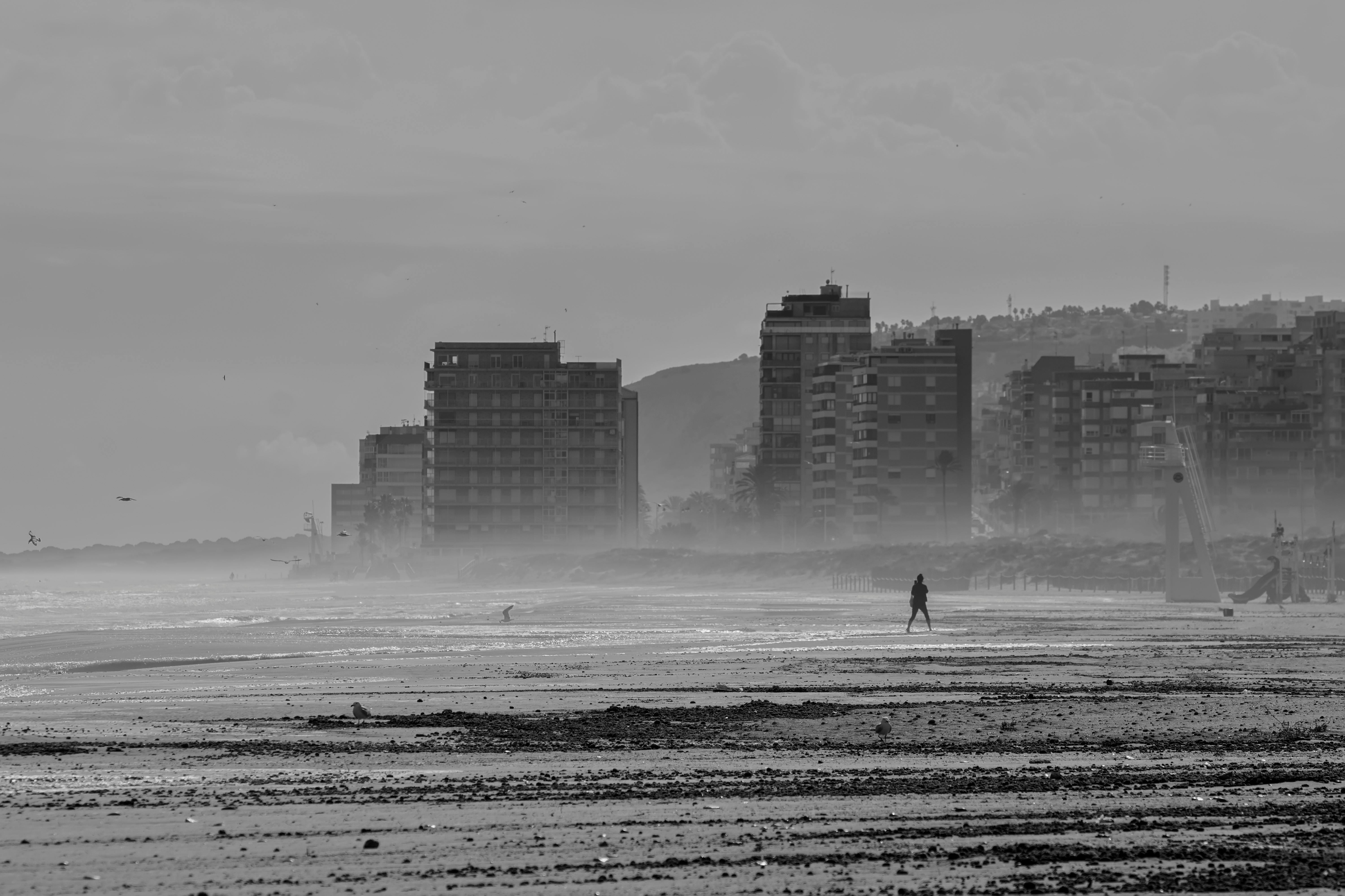 city beach with apartment buildings in the background