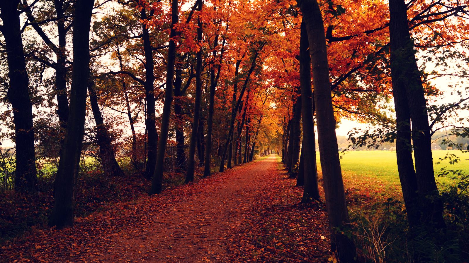 Autumn path paint by numbers