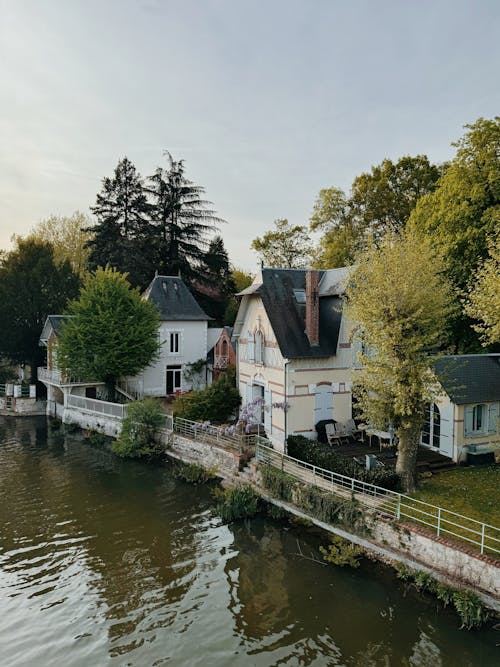 Immagine gratuita di alberi, case, edifici