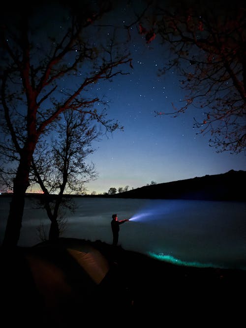 Foto d'estoc gratuïta de arbres, camp, cel clar