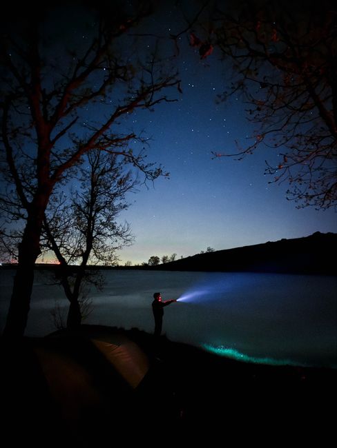 A man stands by a lake with a flashlight, under a starry night sky, creating a serene silhouette.