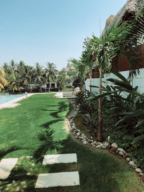 A lush green lawn with palm trees and a pool