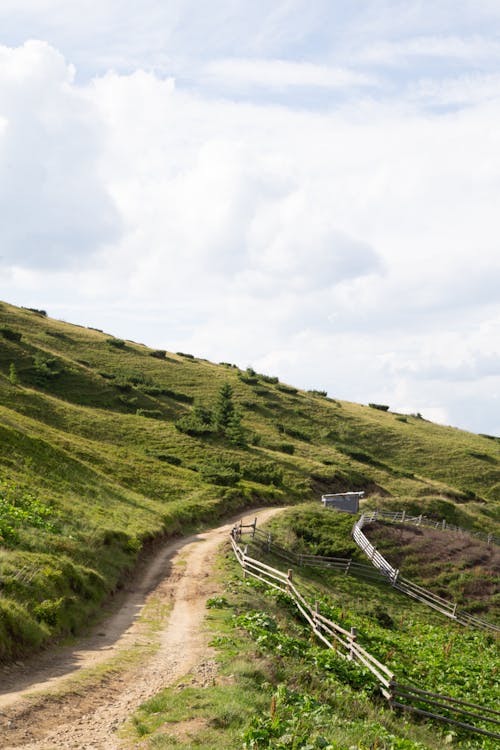 Foto d'estoc gratuïta de camí de carro, natura, núvol