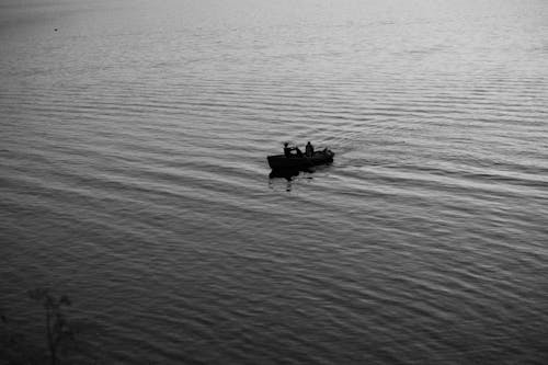 人, 划船, 湖 的 免费素材图片