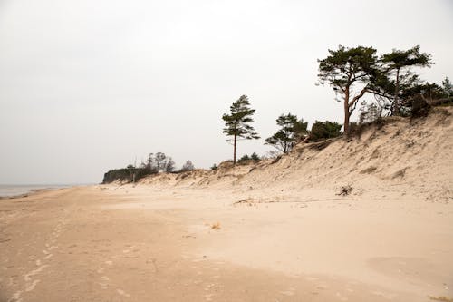 Free Beach Side View Stock Photo