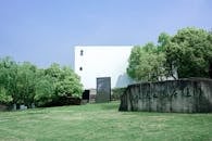 Green Trees on Green Field