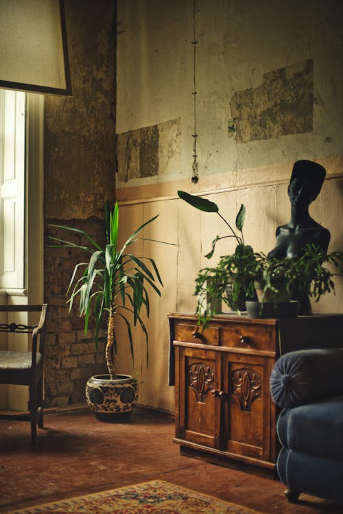 A living room with a plant and a chair