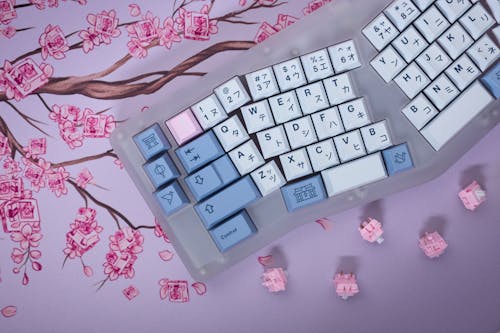 Free A keyboard with pink flowers and blue keys Stock Photo