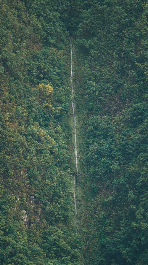 Foto d'estoc gratuïta de cascades, Hawaii, muntanyes ko olau