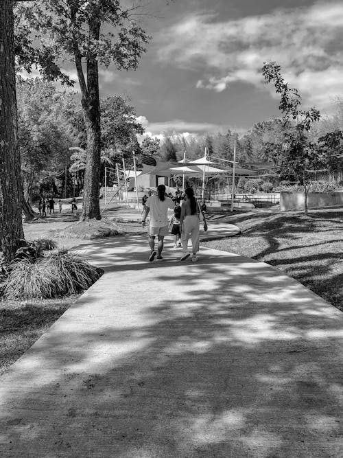 Free Two women walking down a path in a park Stock Photo