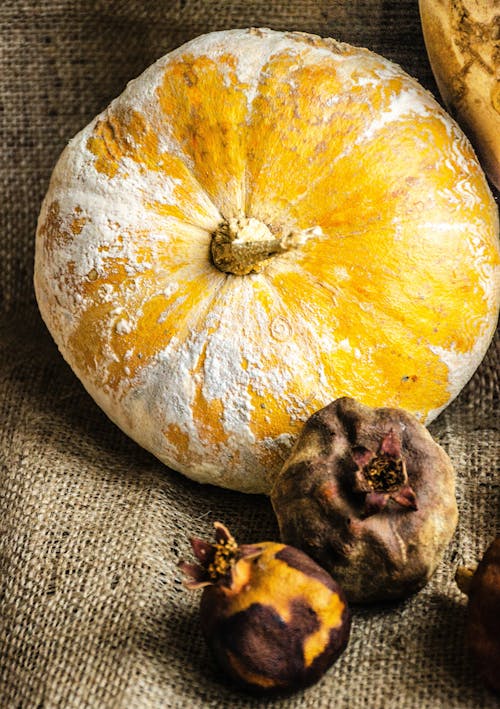 A close up of a pumpkin and a squash