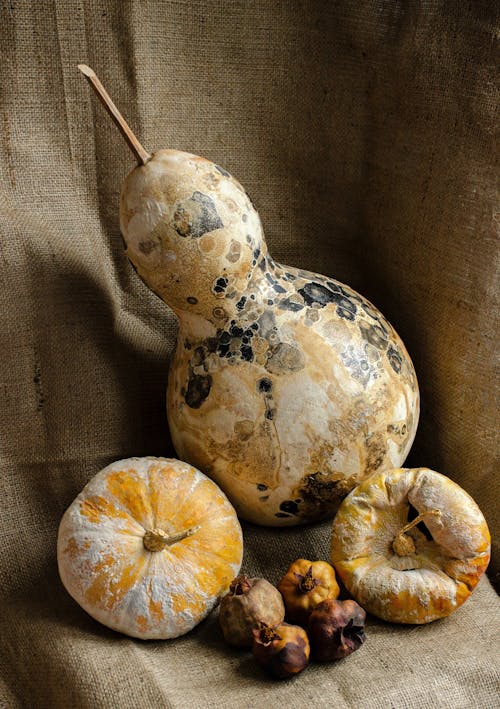 A group of gourds and pumpkins on a cloth