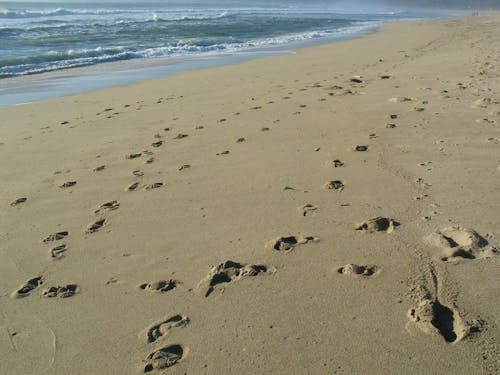Free stock photo of beach, footprints in the sand Stock Photo