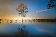 黄昏时分，一棵孤树倒映在广阔的湖面上，映衬出宁静而美丽的景象