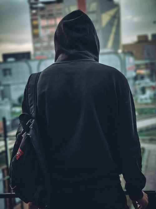 Free 📸 Stock Photo