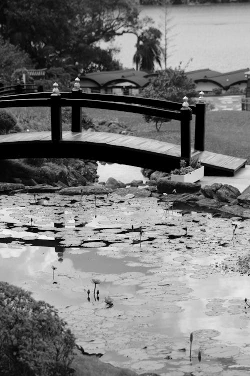 Black and white photo of a bridge over a pond