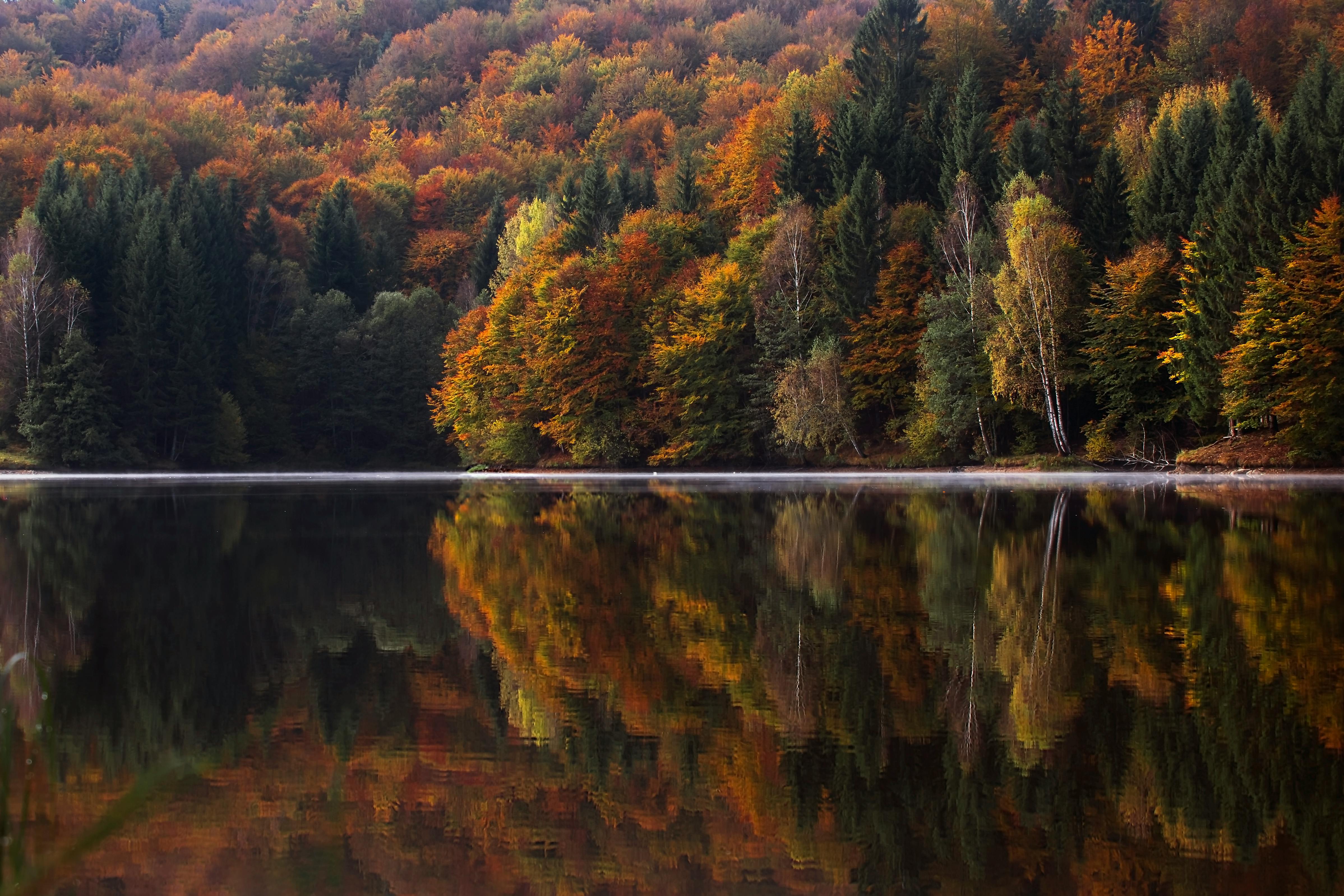 Autumn widescreen 1610 wallpapers hd desktop backgrounds 2560x1600  images and pictures