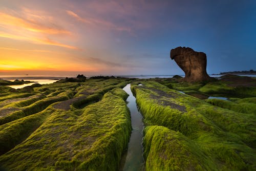 Foto Di Paesaggio Dell'isola Con Specchio D'acqua