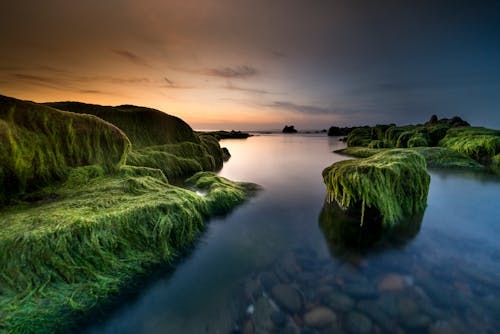 Long Exposure Photography Body of Water