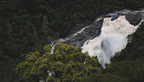 Foto stok gratis air terjun, alam, batu