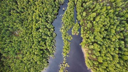 Ilmainen kuvapankkikuva tunnisteilla droonikuva, ilmakuvaus, joki