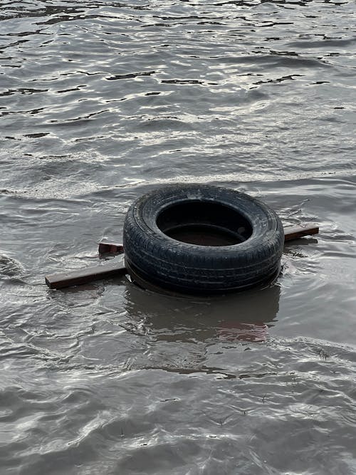 A tire floating in the water with a wooden board