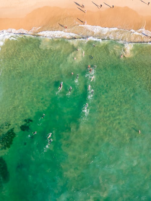 Foto stok gratis fotografi udara, laut yang jernih, manusia