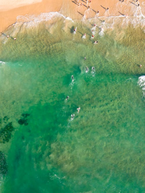 Aerial view of the ocean with green waves