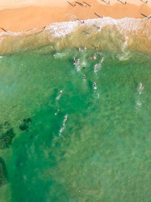 Imagine de stoc gratuită din fotografie aeriană, fotografie cu drona, fotografiere verticală