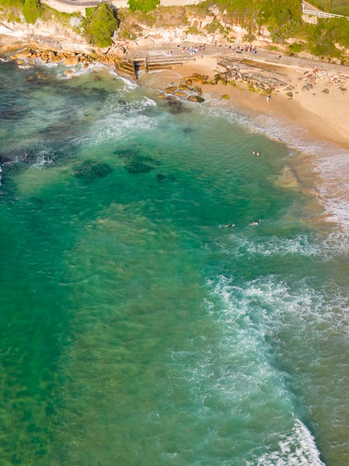 Foto profissional grátis de areia, Austrália, caminhada costeira de bondi a bronte