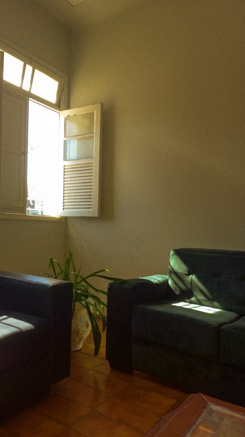 Základová fotografie zdarma na téma doma, dřevěné žaluzie, interiér