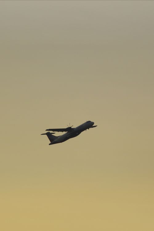 Free Flying Flight Stock Photo