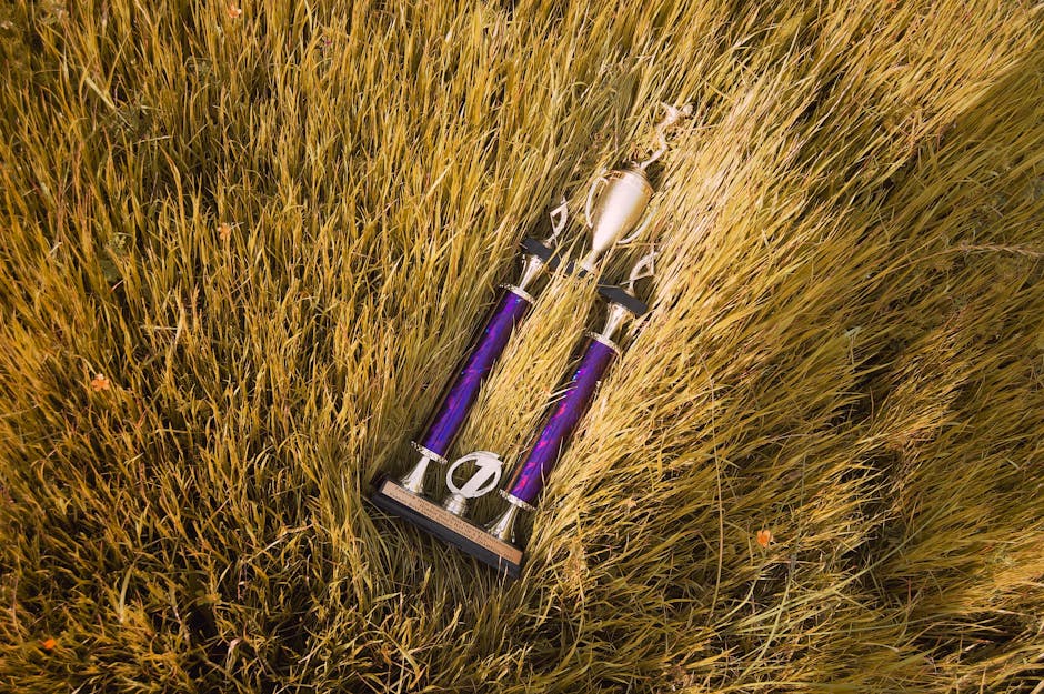 A shiny trophy resting in golden dry grass during fall, symbolizing victory and achievement.